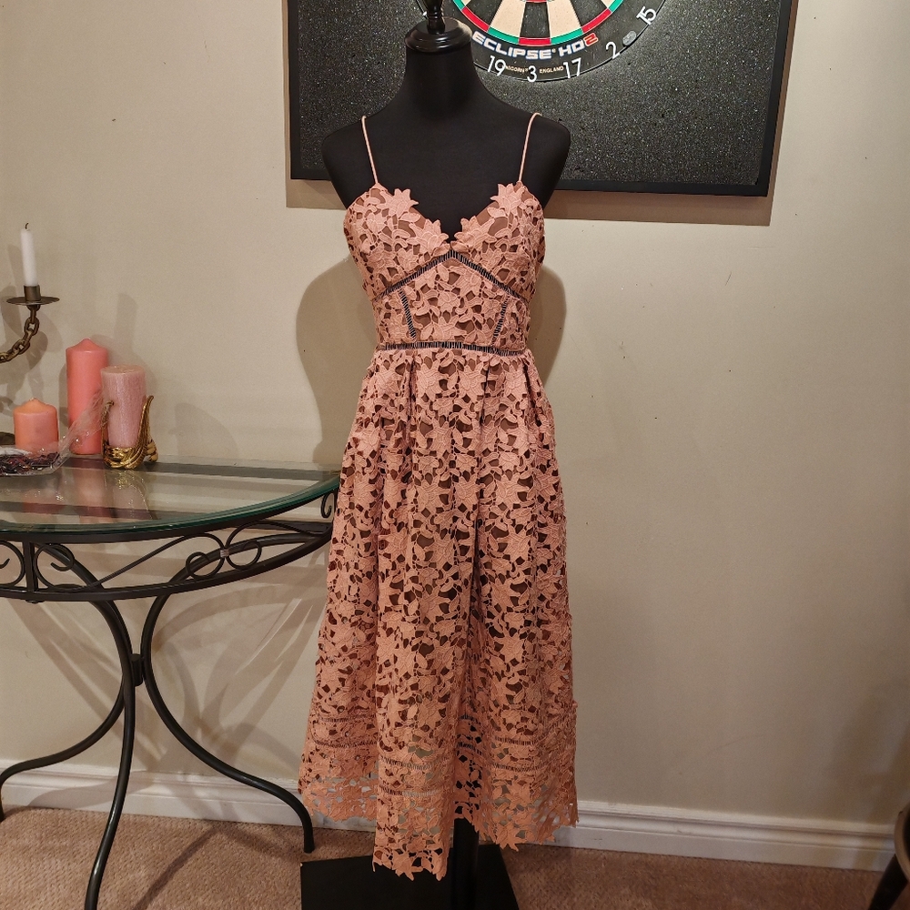 Self-Portrait Blush Pink Lace Midi Dress - Picture 9 of 16